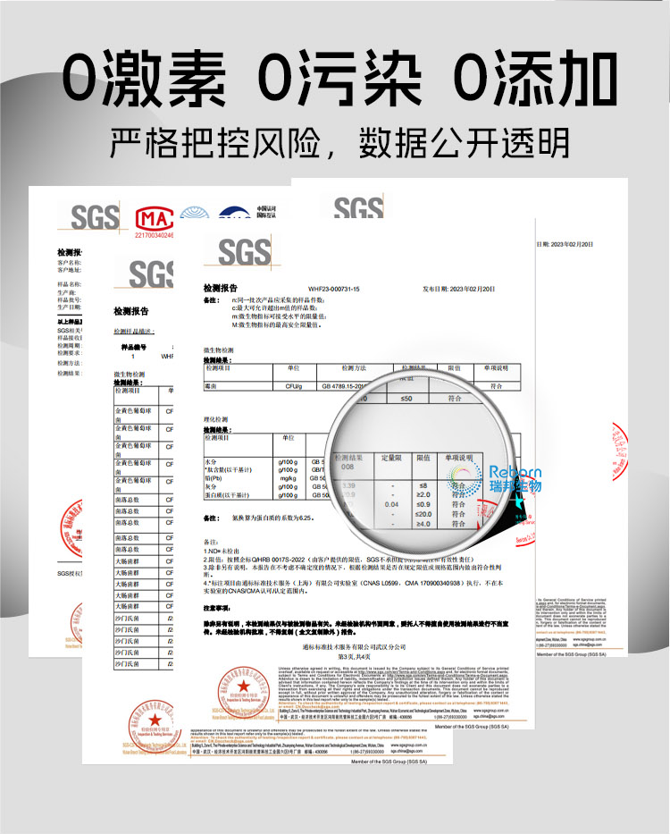 1705453814164287.png 桑叶详情09.png